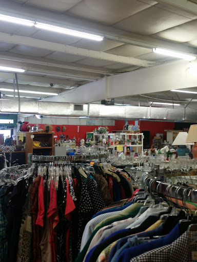 Thrift Store «Humane Society of Marion County: Thrift Store», reviews and photos, 110 NW 10th St, Ocala, FL 34475, USA
