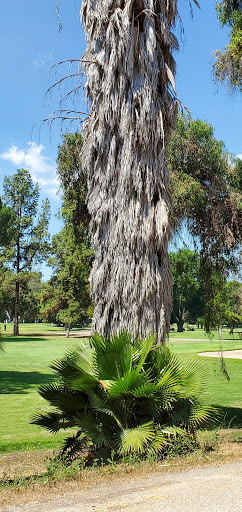 Golf Course «Balboa Golf Course», reviews and photos, 16821 Burbank Blvd, Encino, CA 91436, USA