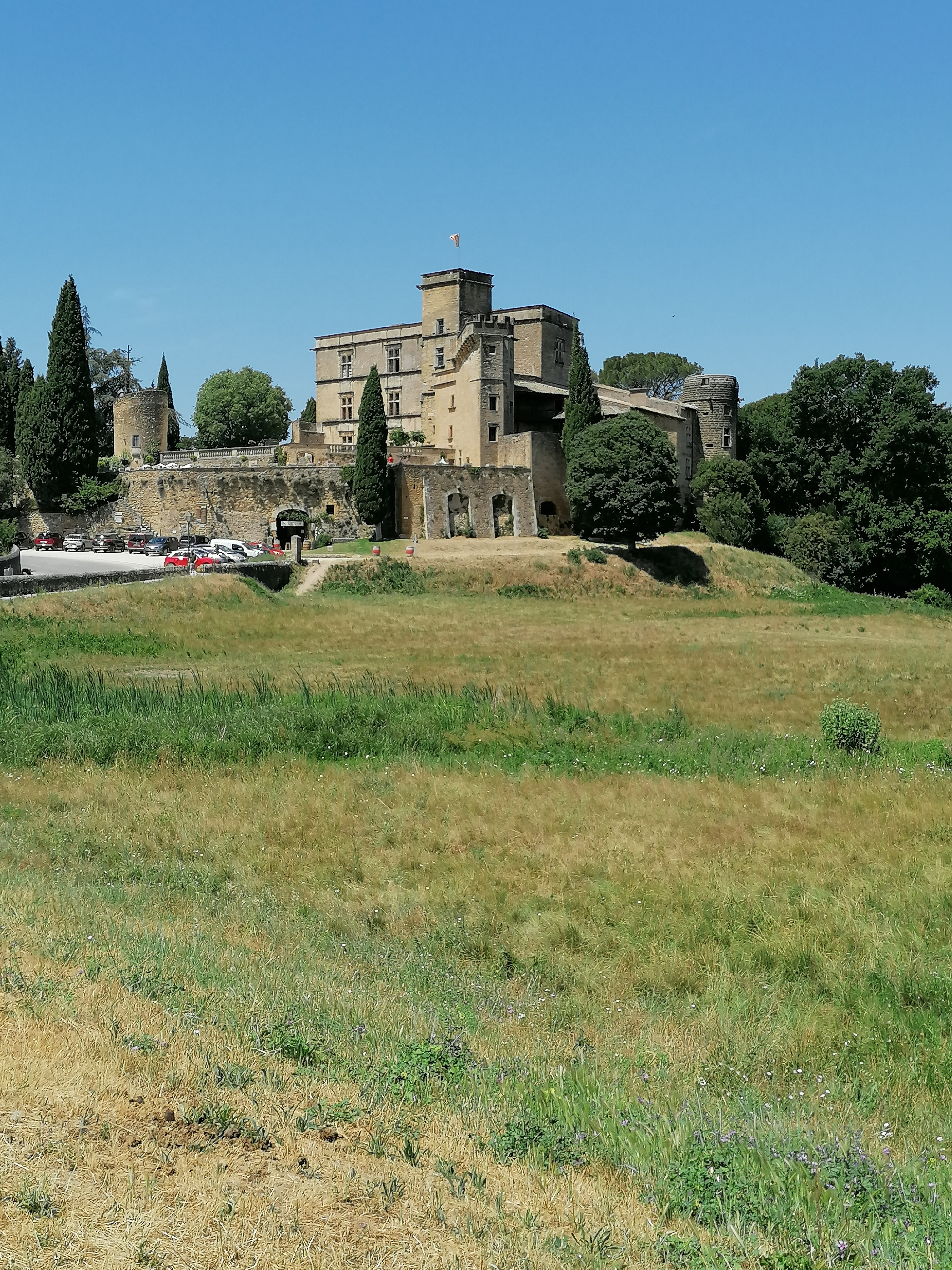 Photo n° 1 de l'avis de Leon.e fait le 13/06/2022 à 12:23