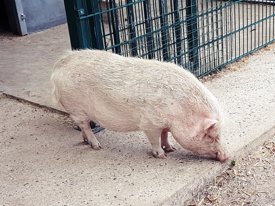 Photo n° 8 de l'avis de Paulo.a fait le 12/08/2018 à 17:30