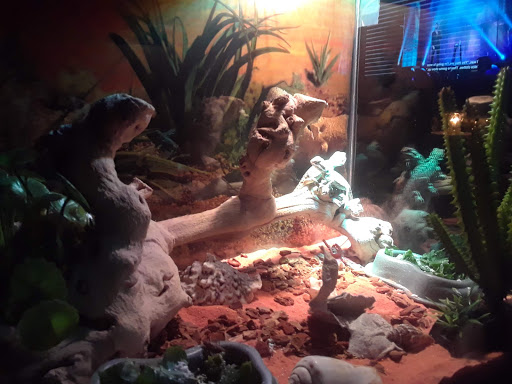 Pet Store «34 Pet Shop», reviews and photos, 3434 W Slauson Ave, Los Angeles, CA 90043, USA