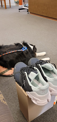 Shoe Store «Tops For Shoes», reviews and photos, 27 N Lexington Ave, Asheville, NC 28801, USA