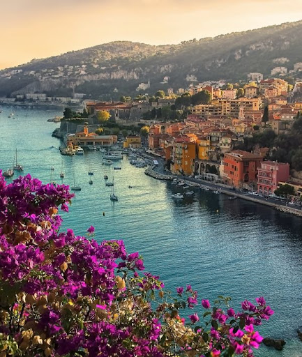 Travel Agency «Lugos Travel Incorporated», reviews and photos, 3825 Florida Ave S #2, Lakeland, FL 33813, USA