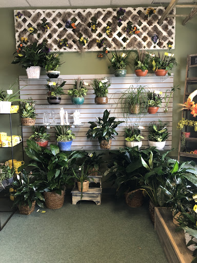 Florist «Countryside Florist», reviews and photos, 4 Orchard View Dr, Londonderry, NH 03053, USA