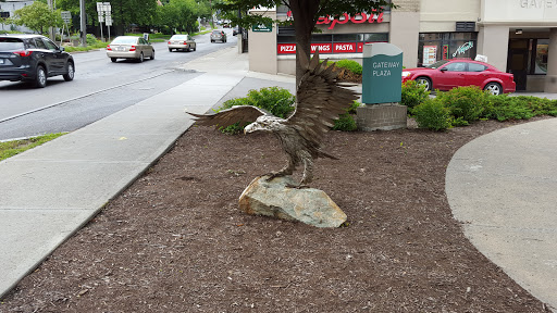 Outdoor Sports Store «Old Goat Gear Exchange», reviews and photos, 320 E State St, Ithaca, NY 14850, USA