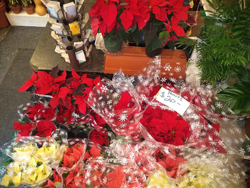 Florist «Sunshine Florist Inc.», reviews and photos, 946 1st Avenue, New York, NY 10022, USA