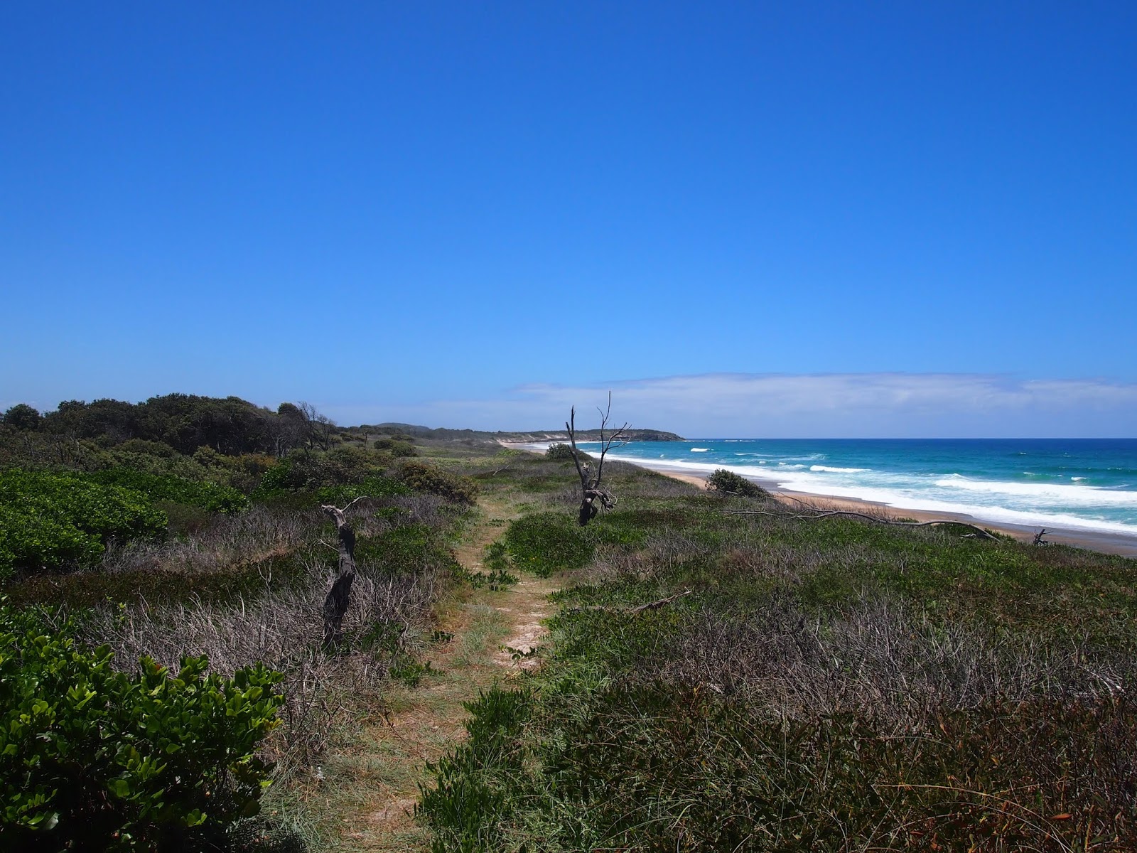 Shelley Beach的照片 带有长直海岸