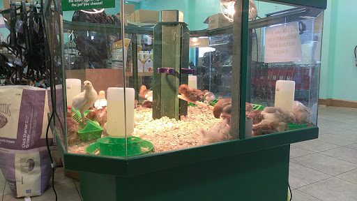 Pet Supply Store «Farm & Pet Outlet - Eustis», reviews and photos, 19814 FL-44, Eustis, FL 32736, USA