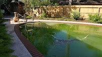 Houston's Best Pools - Photo 2 - Car repair in , The Woodlands