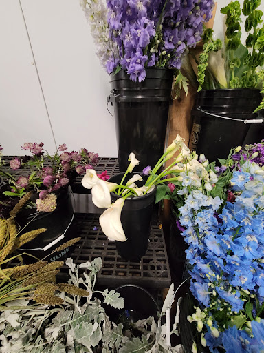 Florist «In Bloom Florist- Orlando, Florida», reviews and photos, 325 W Gore St, Orlando, FL 32806, USA