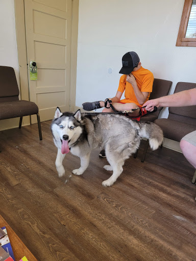 Padgett Veterinary Services image