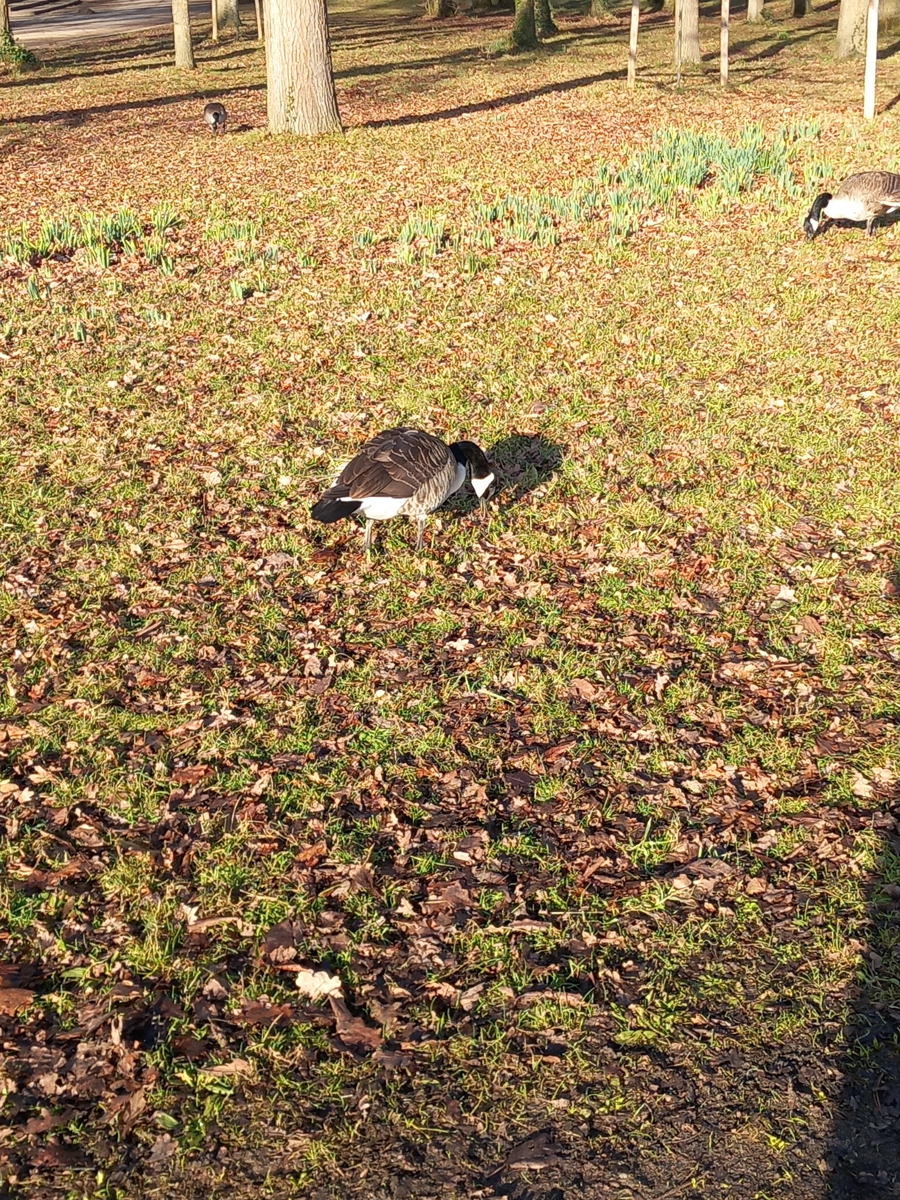 Photo n° 4 de l'avis de Loïc.o fait le 28/01/2024 à 20:24
