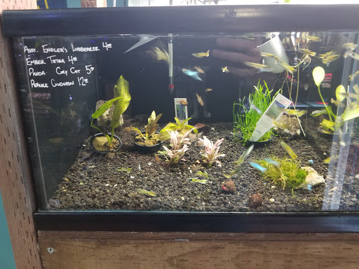 Sand Bar Pet Shop image