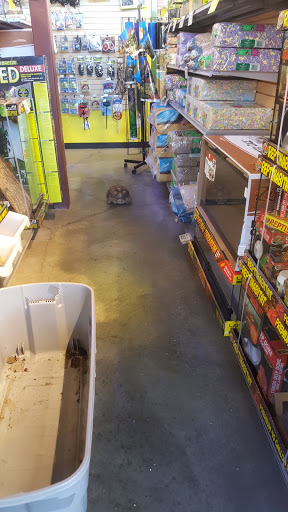 Pet Store «Critter Cabana - Wilsonville», reviews and photos, 8406 SW Main St #200, Wilsonville, OR 97070, USA