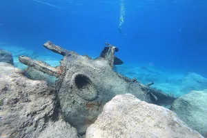 Orfoz Diving image