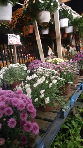 Produce Market «Hudson Farmers Market», reviews and photos, 3437 John F. Kennedy Blvd, Jersey City, NJ 07307, USA