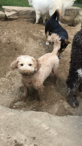 Pet Store «Happy, Clean and Smart», reviews and photos, 5700 W Kilgore Ave, Muncie, IN 47304, USA