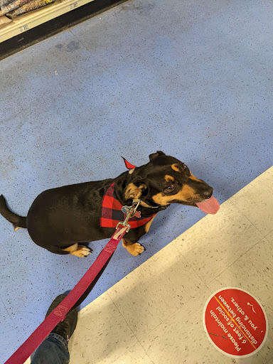 Pet Supply Store «PetSmart», reviews and photos, 7663 Arundel Mills Blvd, Hanover, MD 21076, USA