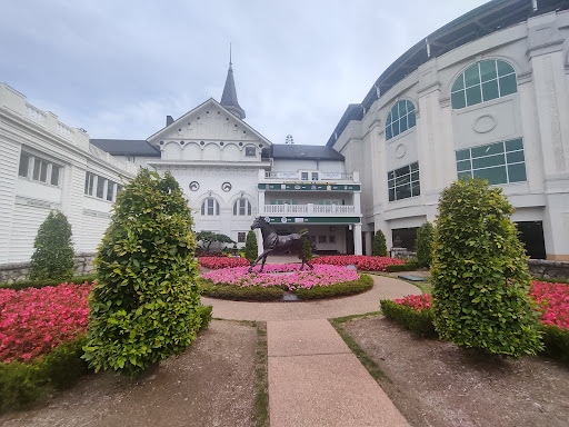Tree Care Louisville