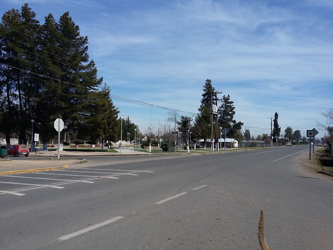 Iglesia Las Camelias - Iglesia