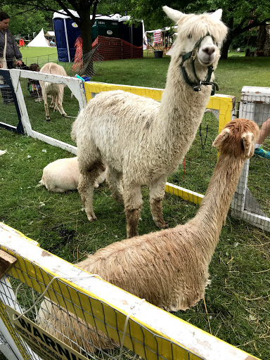 Museum «Curwood Castle Museum», reviews and photos, 224 Curwood Castle Dr, Owosso, MI 48867, USA