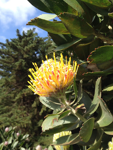 Event Planner «Staged Right Events», reviews and photos, 29 S Federal Hwy a, Dania Beach, FL 33004, USA