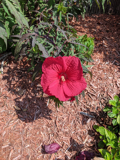 Water Park «White Water», reviews and photos, 3505 W 76 Country Blvd, Branson, MO 65616, USA