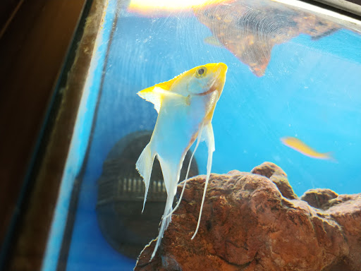 Pet Supply Store «Petco Animal Supplies», reviews and photos, 244 Pioneer Trail, Chaska, MN 55318, USA