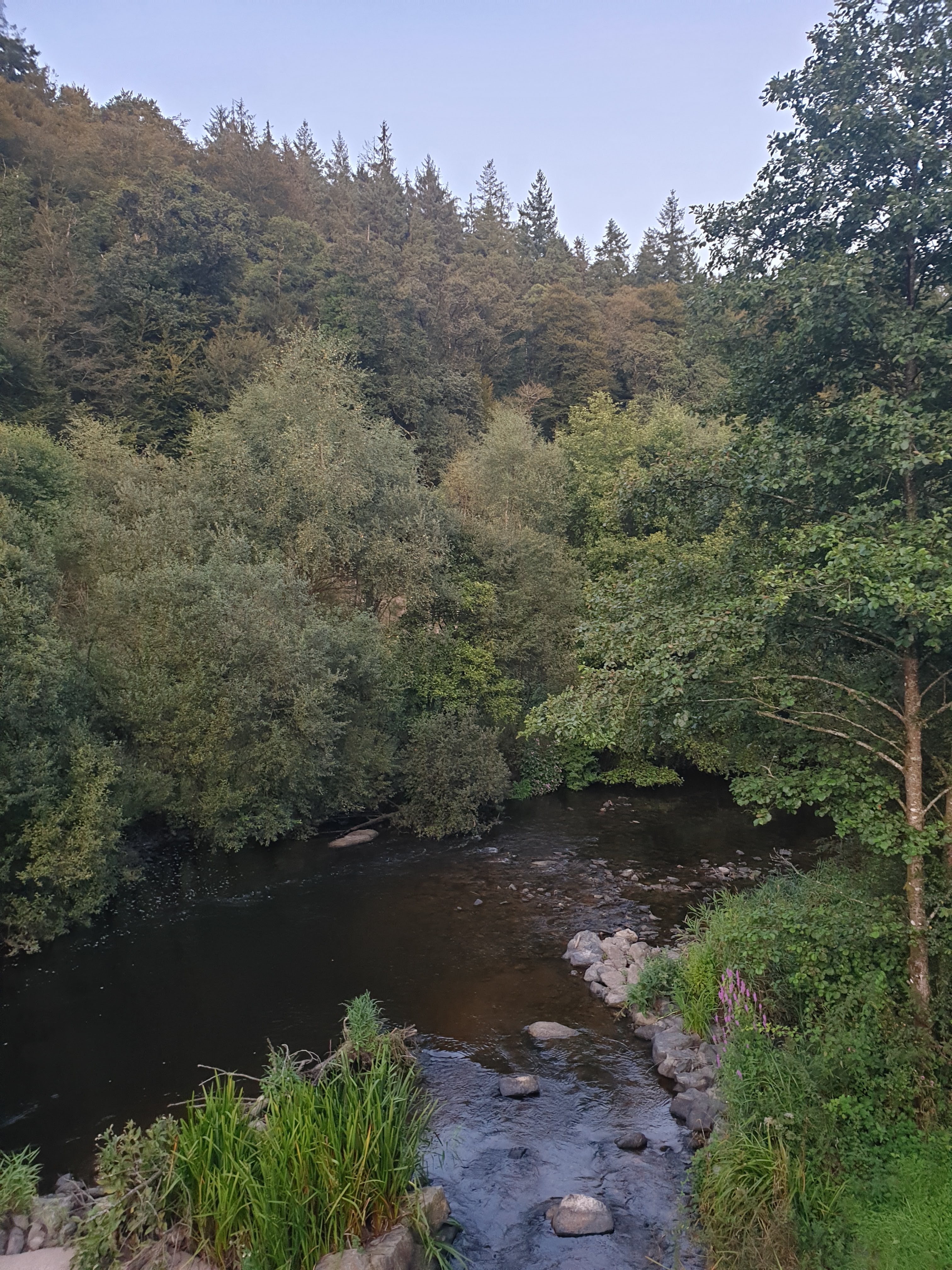 Photo n° 2 de l'avis de jean.v fait le 22/08/2019 à 05:35