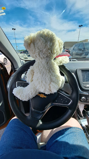 Dollar Store «Dollar Tree», reviews and photos, 1951 Wentzville Pkwy, Wentzville, MO 63385, USA