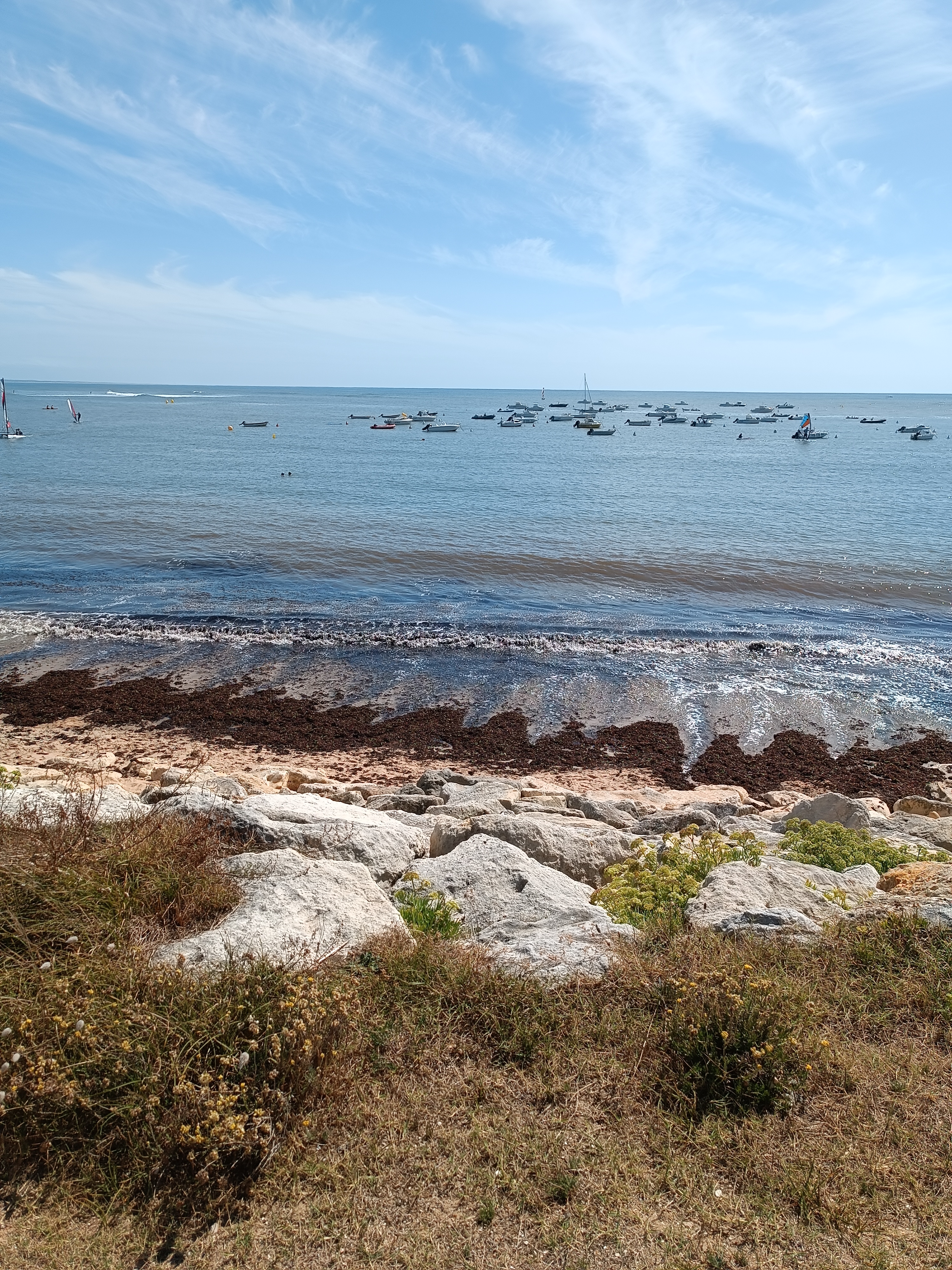 Photo n° 3 de l'avis de Bérénice.' fait le 22/09/2023 à 19:37