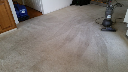 Future-Now Carpets