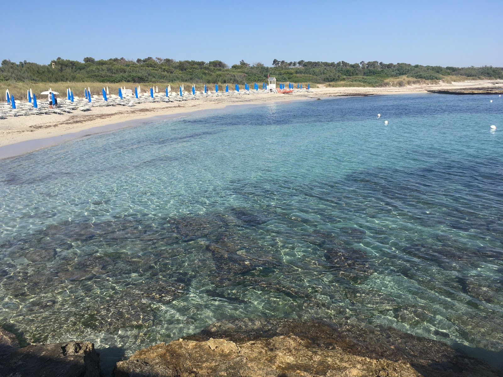 Fotografie cu Mora Mora beach amplasat într-o zonă naturală