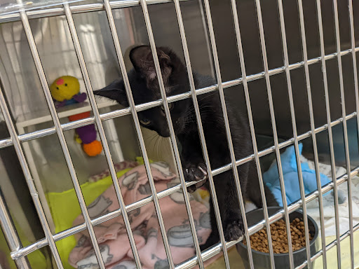 Pet Supply Store «PetSmart», reviews and photos, 1900 W International Speedway Blvd, Daytona Beach, FL 32114, USA