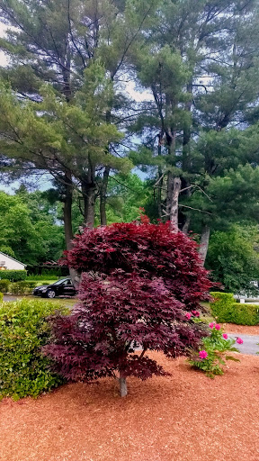 Golf Course «Country Club of Billerica», reviews and photos, 51 Baldwin Rd, Billerica, MA 01821, USA