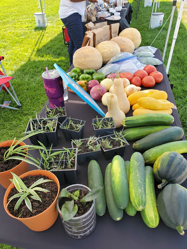 Vineyard «Stone Pillar Vineyard & Winery», reviews and photos, 11000 S Woodland St, Olathe, KS 66061, USA