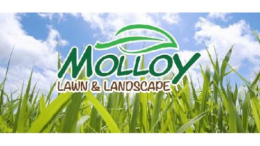 Molloy Lawn & Landscape