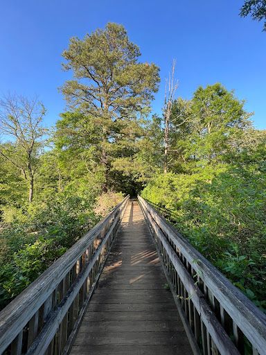 State Park «Parvin State Park», reviews and photos, 701 Almond Rd, Pittsgrove Township, NJ 08318, USA