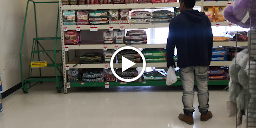 Pet Supply Store «Pet Supplies Plus», reviews and photos, 7204 Dempster St, Morton Grove, IL 60053, USA