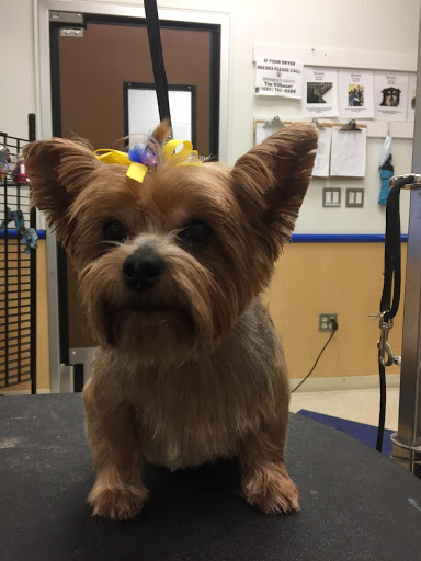 Pet Supply Store «Petsense Foley», reviews and photos, 2139 S McKenzie St, Foley, AL 36535, USA