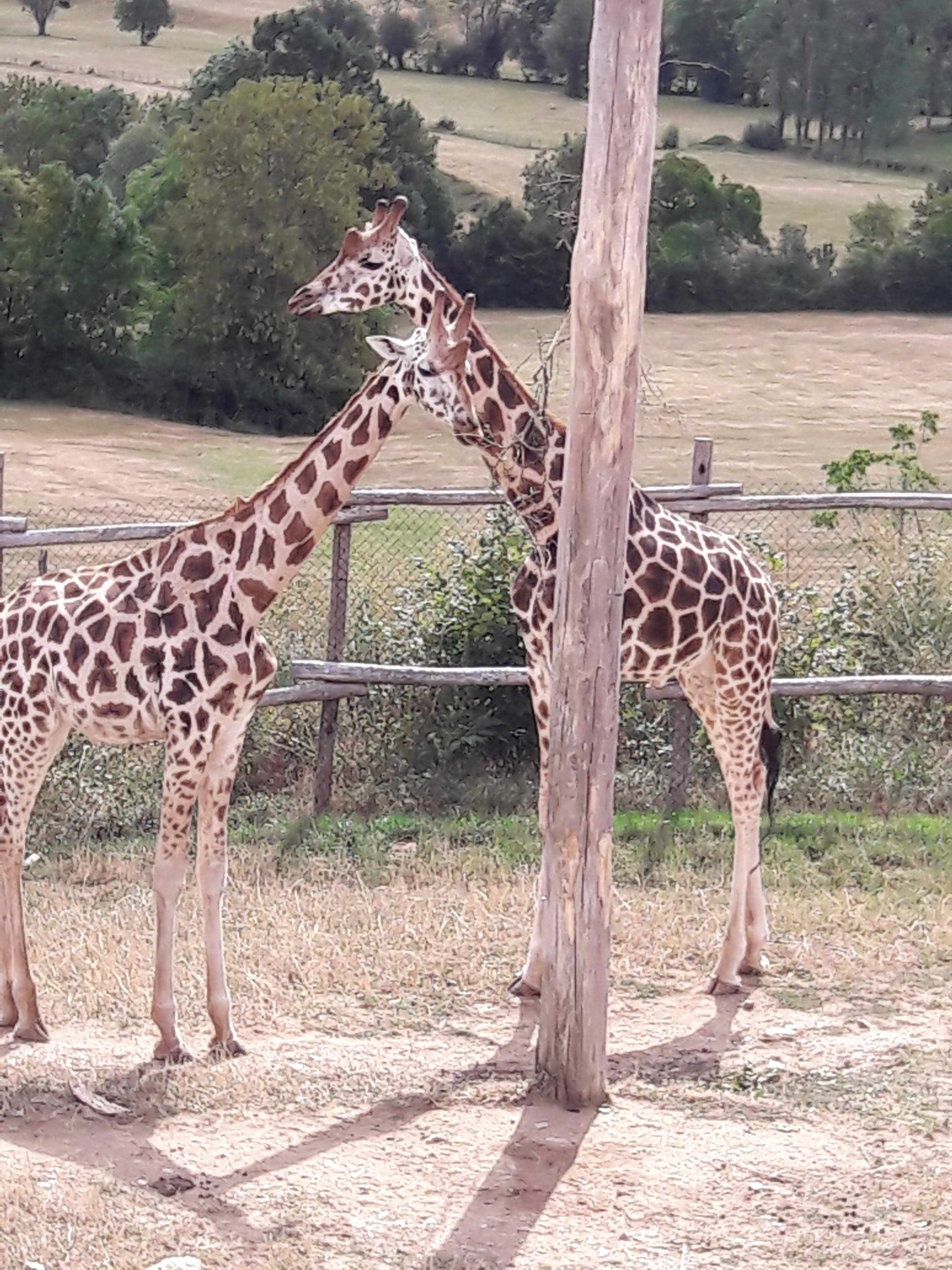 Photo n° 3 de l'avis de denis.a fait le 24/08/2018 à 16:31