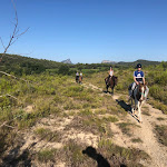 Photo n° 1 de l'avis de Valérie.E fait le 04/08/2023 à 11:38 pour Horse Aventure à Fontanes