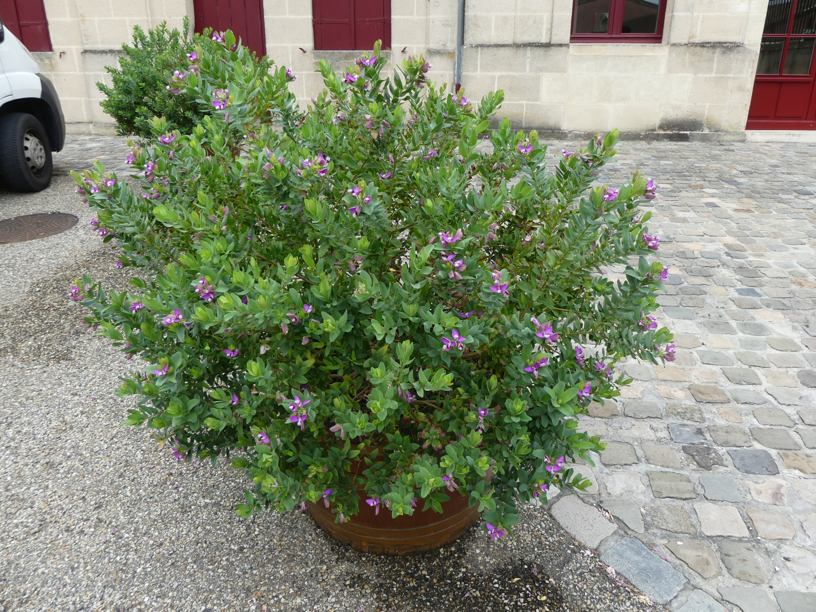 Photo n° 18 de l'avis de Roland.a fait le 17/07/2020 à 19:13