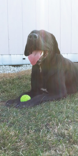 Park «Brent Hassert Park», reviews and photos, 19623 Renwick Rd, Lockport, IL 60441, USA