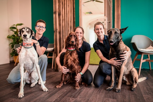 Recenze na Canine Centrum v Hradec Králové - Fyzioterapeut