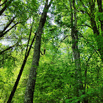 Photo n° 3 de l'avis de Catherine.U fait le 14/05/2023 à 18:21 pour Les Vieux Métiers (officiel) à Azannes-et-Soumazannes