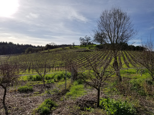 Vineyard «Porter Creek Vineyards», reviews and photos, 8735 Westside Rd, Healdsburg, CA 95448, USA