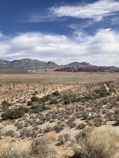 Movie Theater «Plaza Theater 4», reviews and photos, 448 Milwaukee Ave, Burlington, WI 53105, USA