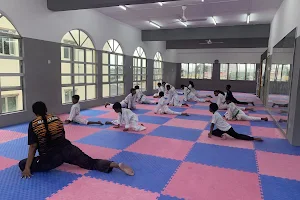 Gayan Taekwondo Club image