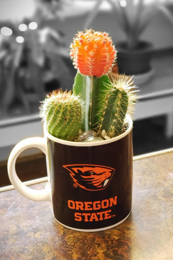 Florist «Kern Park Flower Shoppe», reviews and photos, 6713 SE Holgate Blvd, Portland, OR 97206, USA